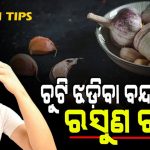 ଚୁଟିରେ ଲଗାନ୍ତୁ ରସୁଣ ରସ ; ପାଚିବ ନାହିଁ କି ଝଡ଼ିବ ନାହିଁ